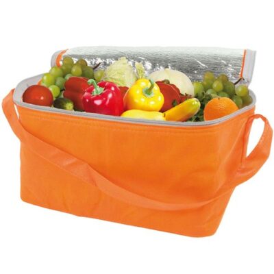 Kühltasche Sesa Isoliertasche bedrucken 32x18x18 cm aus PP-Vlies. Ab 1,20 €